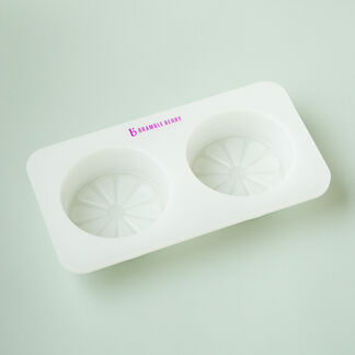 2 Cavity Citrus Silicone Mold